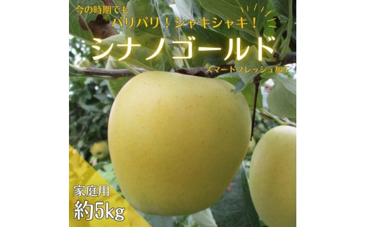 【アグリスタくましろ】シナノゴールドSF　ご家庭用約5kg(12～20玉) 長野県 信州 南信州 高森町 りんご スマートフレッシュ