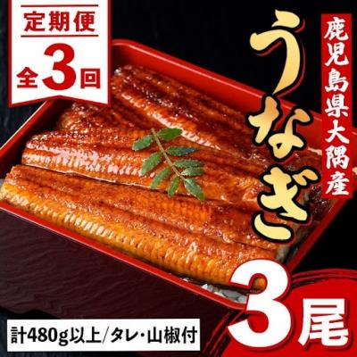 ふるさと納税 肝付町 <定期便・計3回(連続)>うなぎ蒲焼・大(有頭)(3尾計480g以上3回タレ山椒付)　E57004