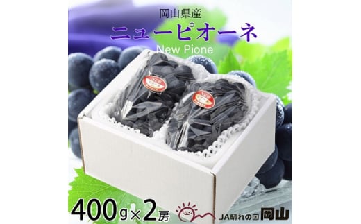 ＜2025年8月発送＞岡山県産　ニューピオーネ　400g×2房【1365854】
