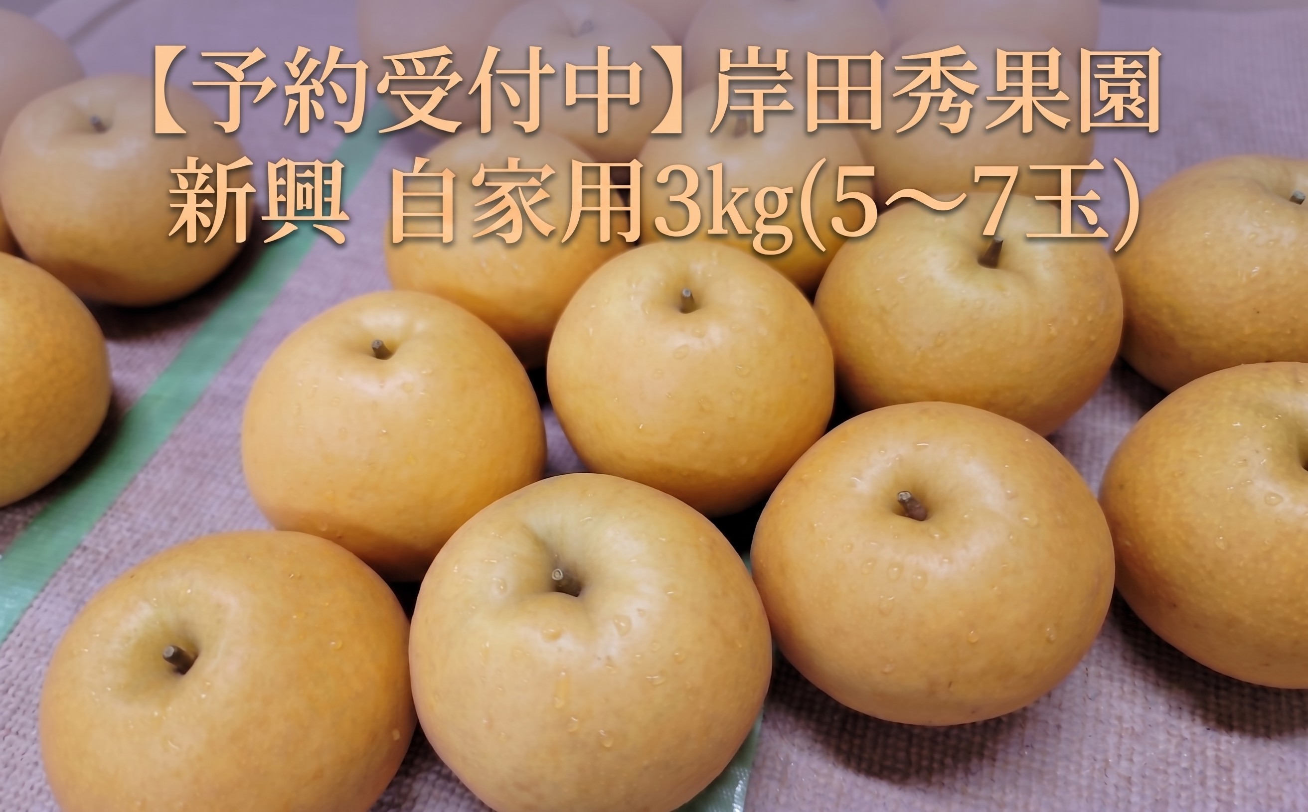 
                  【予約受付中】岸田秀果園 新興 自家用3㎏
                