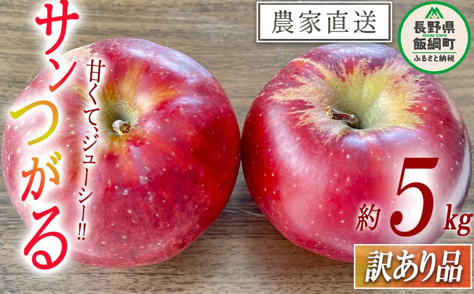 りんご サンつがる 訳あり 5kg 令和8年度収穫分 沖縄県への配送不可 2026年9月上旬頃から2026年9月中旬頃まで順次発送予定 宮本ファーム エコファーマー 減農薬栽培 津軽 つがる 傷 変形