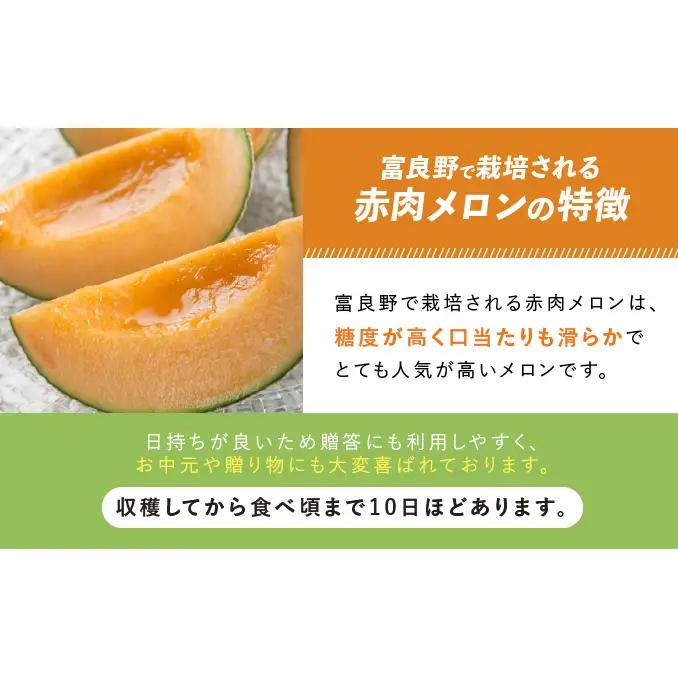 TVで話題【2026年発送】北海道 富良野 赤肉 メロン 2玉 計3.2kg以上