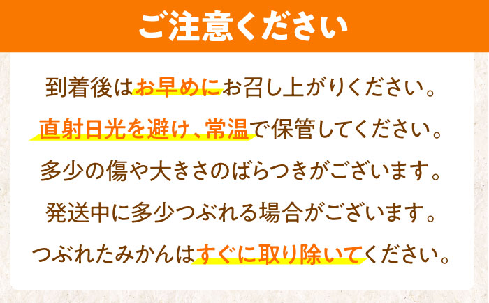 ※【2026年(令和8年)1月発送分／先行予約】伊木力温州みかん 10kg（ご家庭用）/ みかん ミカン 蜜柑 フルーツ 果物 / 諫早市 / 末永果樹園 [AHBD001]