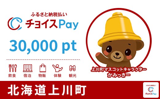 
                  上川町チョイスPay 30,000pt【会員限定のお礼の品】
                
