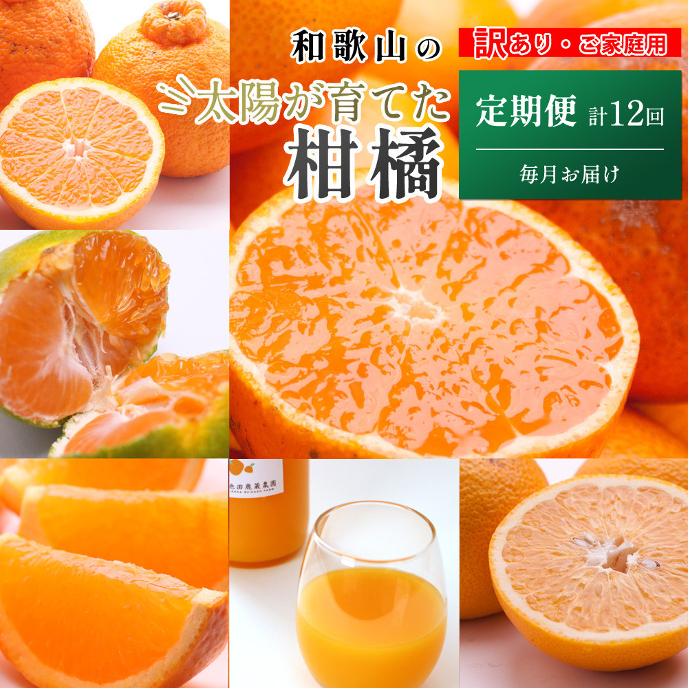 家庭用 柑橘定期便S（毎月）全12回 ［IKE300］BB90209