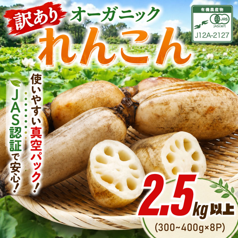 【ふるさと納税】 れんこん オーガニック 2.5kg 以上 真空パック 小分け 【有機JAS認証】 受賞歴あり 先行予約 蓮根 レンコン renkon 訳あり 訳有り オーガニックレンコン 100％ おーがにっく 野菜 やさい ベジタブル 根菜 新鮮 産地直送 農家直送 国産 千葉県 香取市 HSS008