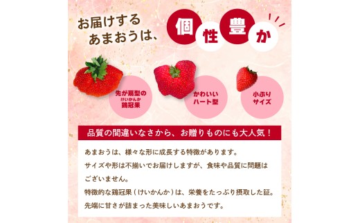 【2027年2月から3月発送予定】先行予約! 数量限定 福岡産 あまおう ichigo strawberry itigo 約1120g 約280×4パック セット いちご 苺 イチゴ フルーツ 果物 