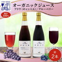 【ふるさと納税】オーガニック 有機 キャンベル ブルーベリー ジュース 飲み比べ 710ml 2本 群青の瞳 ぶどう 紺碧の恋 果汁 100％ お取り寄せ ギフト セット 北海道 仁木町　【 ぶどうジュース 】　お届け：2024年2月10日より順次出荷