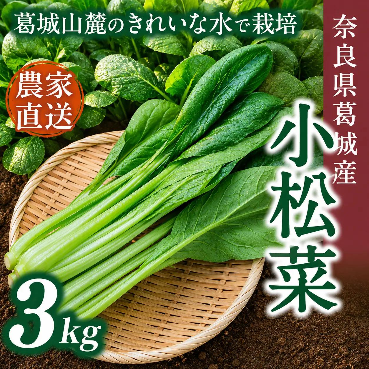 奈良県産 小松菜 約3kg  【順次発送】 葛城市【smlk061】