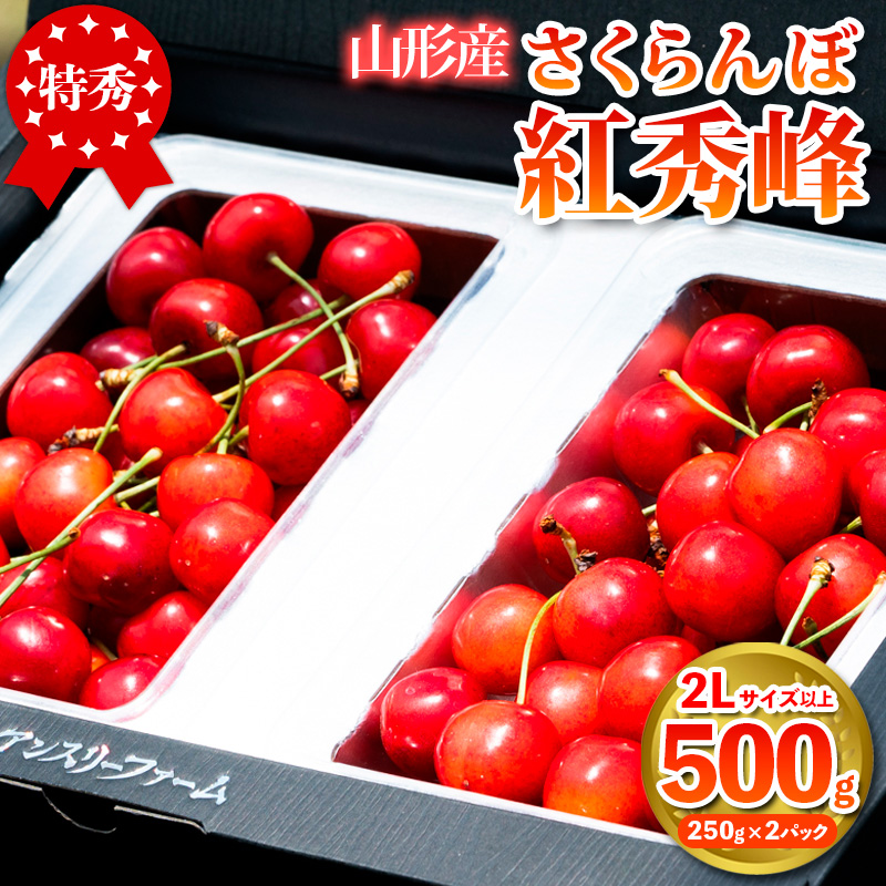 さくらんぼ 「紅秀峰」500g 特秀品 2Lサイズ以上 山形産 FY25-026