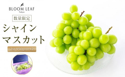 BLOOM LEAF シャインマスカット2房 ＜2025年9月中旬発送開始＞【食品 加工食品 人気 おすすめ 送料無料】