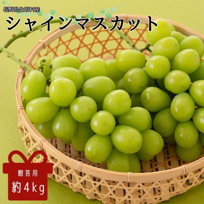【ふるさと納税】2025年発送 先行予約 贈答用 シャインマスカット約4kg 9〜13房 果物 ぶどう フルーツ デザート おやつ 長野県産 信州の葡萄 贈り物 プレゼント