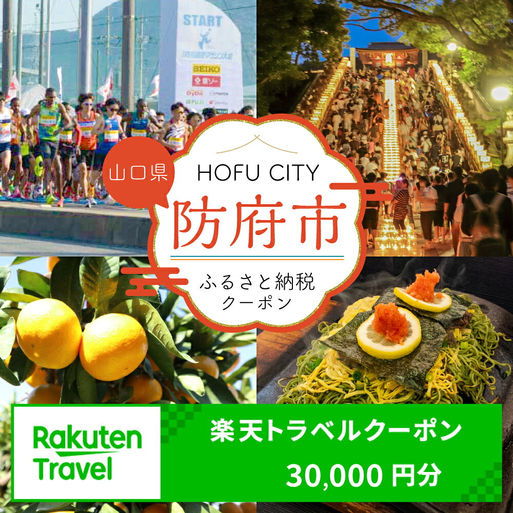 【ふるさと納税】山口県防府市の対象施設で使える楽天トラベルクーポン 寄付額100,000円(クーポン額30,000円分) 山口県 防府市 12-055-0004 旅行 観光 宿泊 温泉 ビジネス ホテル 予約 防府