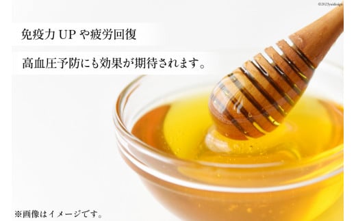 BH071 国産はちみつ 500g（百花蜜） [ 国産 甘い はちみつ 蜂蜜 村木養蜂場 長崎県 島原市 ]