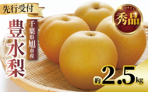 【2026年先行予約】 千葉県産 梨 豊水 約 2.5kg 5玉～8玉 秀品 豊水梨 なし 和梨 果物 果実 くだもの フルーツ 旬の果物 9月発送 2026 国産 千葉 千葉産 新鮮 鮮度 旬 厳選 贈答 贈り物 ふるさと納税 産地 送料無料 千葉県 旭市 齋藤園 ste001