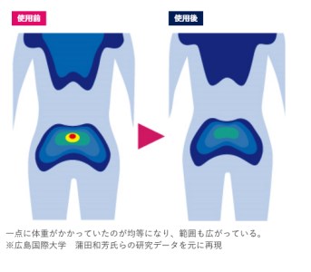 FI002_【LPN社製】「ストレッチポールEX」一流アスリートから医療の現場、ご家庭まで幅広く活用。