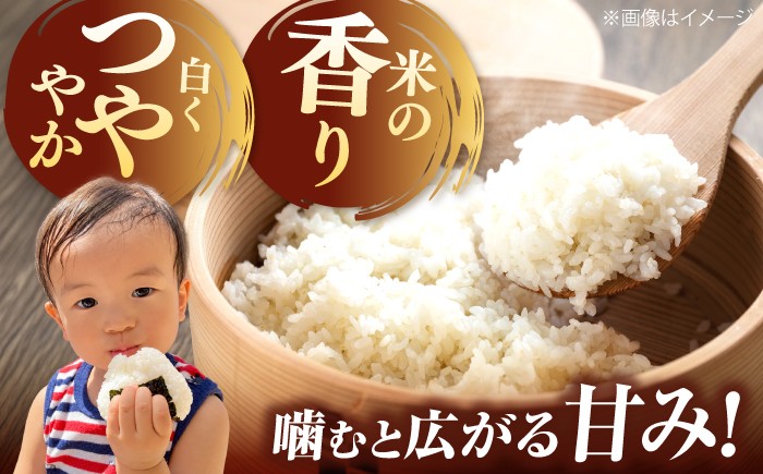 令和8年産 新米 米 定期便 きぬむすめ 松江市産 ごはん ソムリエ厳選 減農薬 10kg 白米 島根 お米 ギフト お歳暮