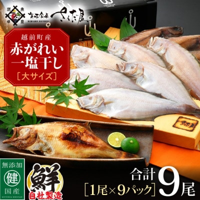 越前干物　赤がれい一塩干し　大サイズ(1尾×9パック入り)【配送不可地域：離島】【1422821】