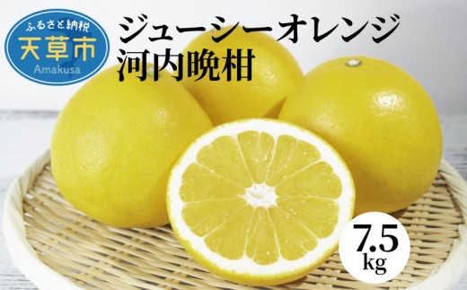 
                  S053-001_ジューシーオレンジ 7.5kg 河内晩柑〈先行受付〉
                