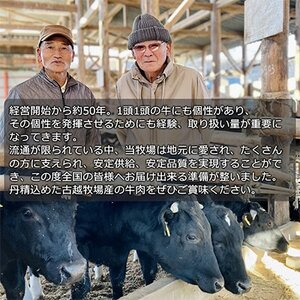 【毎月定期便】【牛肉生ハンバーグ】信州蓼科牛 900g(150g×6枚) 御代田町古越牧場産全6回【配送不可地域：離島】【4078077】