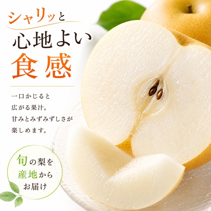 浜松市産 梨 約2.5kg 5～8玉入り なし フルーツ 果物 静岡 浜