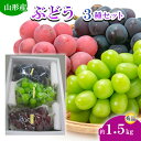 【ふるさと納税】山形市産ぶどう 3種セット 秀 約1.5kg (9月発送) 【令和7年産先行予約】FS24-663 くだもの 果物 フルーツ 山形 山形県 山形市 お取り寄せ 2025年産