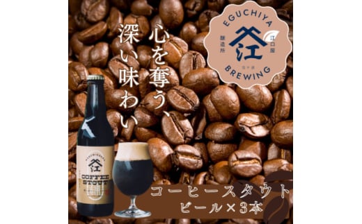 霞ヶ浦コーヒースタウト 茨城県産クラフトビール 330ml×3本【1608539】