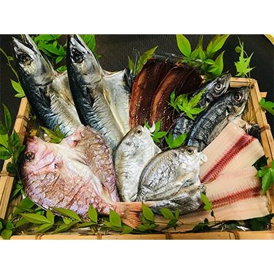 ふるさと納税 湯浅町 かね七商店　特選干物セット(6種11枚)