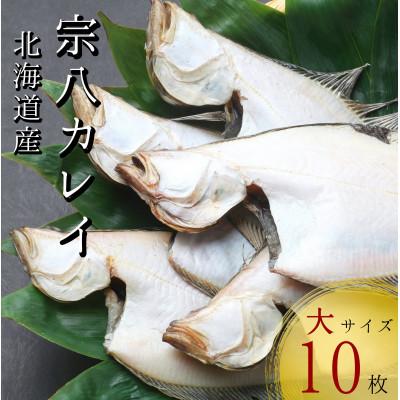 ふるさと納税 せたな町 【北海道せたな町産】宗八かれい 一夜干し 大サイズ10枚(約2kg)