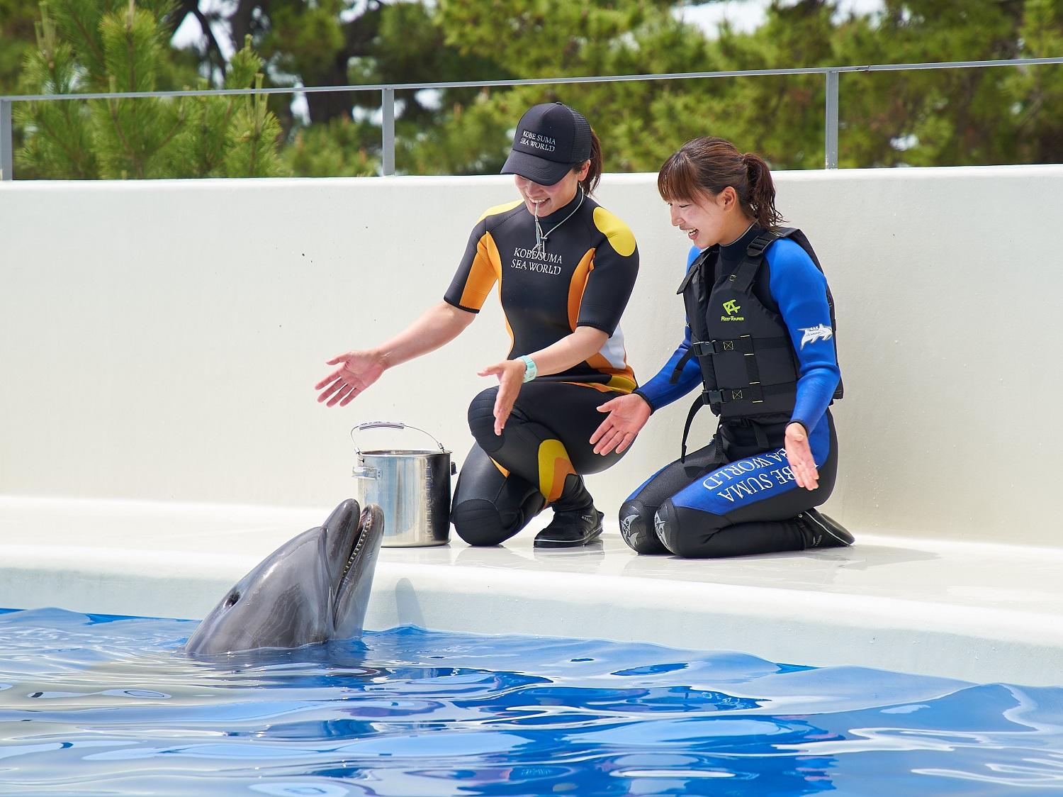 神戸須磨シーワールドホテル【水族館入館券付き】 ギフトクーポン　60,000円相当（有効期限：2025年4月1日～9月30日）