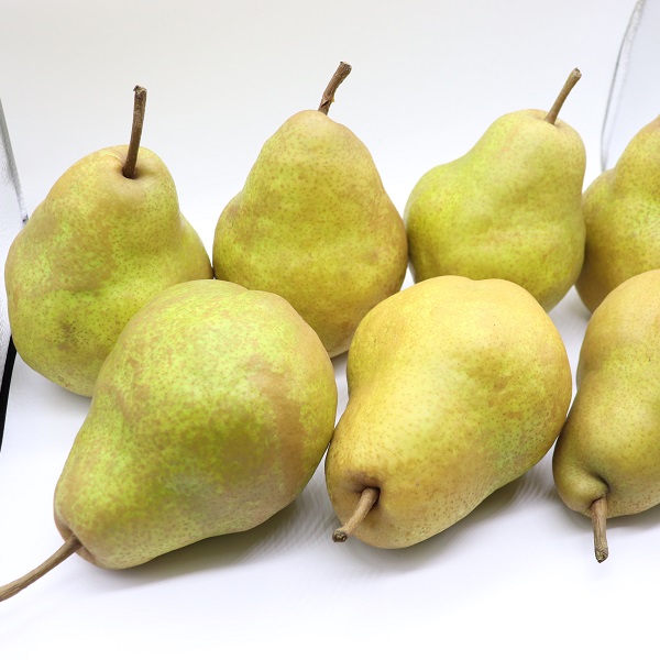 食の都庄内　《12月・1月・2月お届け》旬のフルーツ3ヶ月定期便 12月:りんご、1月:洋梨、2月:いちご