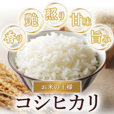 ふるさと納税 倉吉市 コシヒカリ 10kg(上白精米)令和7年産 新米 お米 米 こめ コメ こしひかり コシヒカリ ご飯 |  | 02