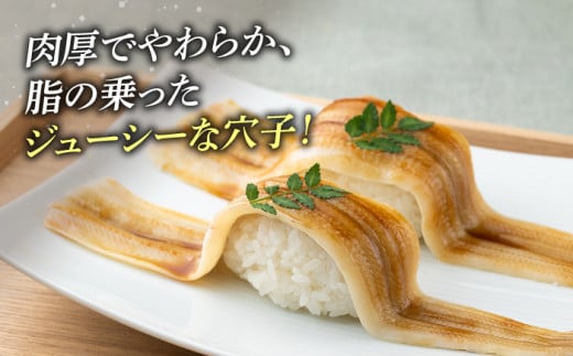対馬 穴子 開き 800g《対馬市》【海風商事】アナゴ 国産 九州 長崎 [WAD012]冷凍 新鮮 あなご 天ぷら もう1品 おかず 肉厚 穴子重 開き 海鮮 魚介 簡単調理 時短 