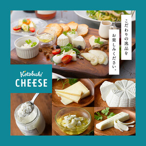 【定期便】Kotobuki cheeseアイスクリームセット６種（毎月×３回） 2557