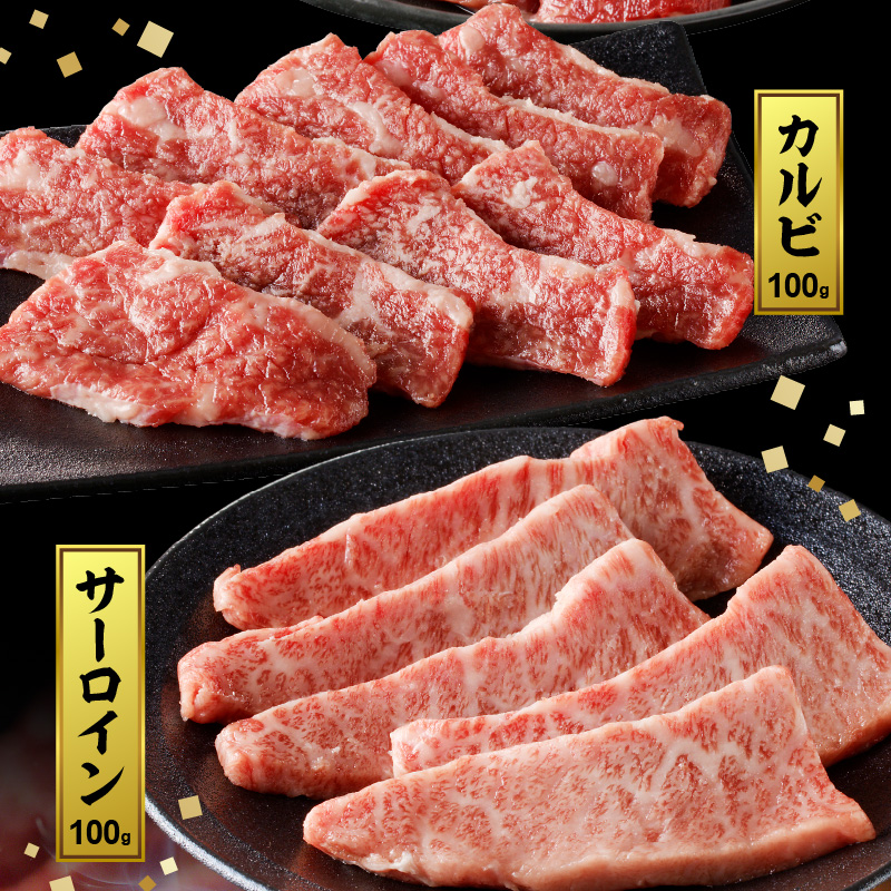 宮崎牛焼肉食べ比べ3種盛合計300g N0140-A580