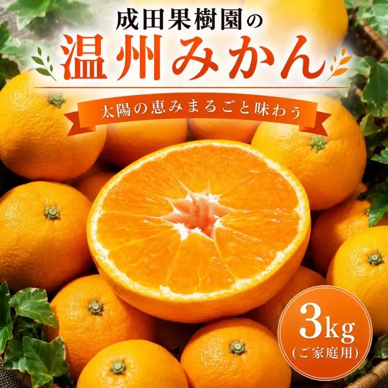 温州みかんご家庭用 3kg 黒潮町産 成田樹園 温州みかん［1816］