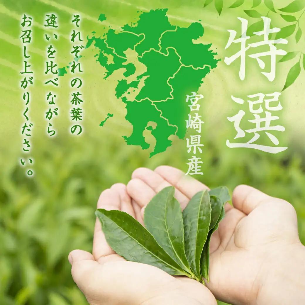 ≪特選茶≫煎茶・白折味くらべセット_MJ-4804_(都城市) 茶葉 上煎茶 100g×3本 上白折 100g×2本 お茶の産地 都城盆地 最高級品 ホット 冷茶 日本茶 せんちゃ しらおれ