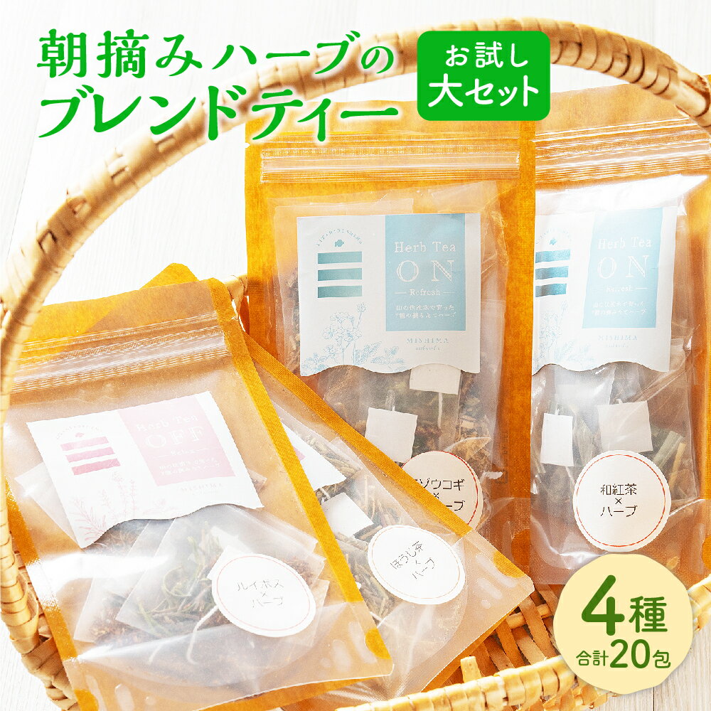 【ふるさと納税】朝摘みハーブのブレンドティー お試し大セット 和紅茶 ほうじ茶 エゾウコギ ルイボス ハーブ お茶 ティーバッグ ルイボスティー ルイボス茶 有機 ハッカ 薄荷 ギフト プレゼント 詰め合わせ セット 国産 常温 北海道 北広島市加工 送料無料