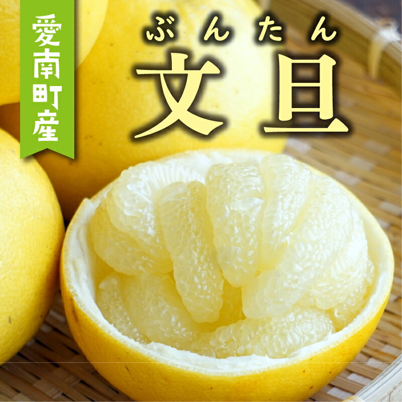 【ふるさと納税】 先行予約 選べる 規格 文旦 2kg 5kg 6kg 8.5kg 訳あり 通常品 5000円 7000円 10000円 Mサイズ 以上 ぶんたん みかん mikan 蜜柑 ミカン 国産 人気 期間限定 数量限定 甘い フルーツ 果物 柑橘 おいしい あいなんマザーズ 愛南町 愛媛県