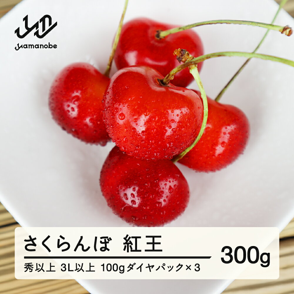 【ふるさと納税】 先行予約 さくらんぼ 紅王 3L以上 秀以上 100gダイヤパック×3 2026年産 令和8年産 山形県産 送料無料 mm-yb3ld300 ※沖縄・離島への配送不可