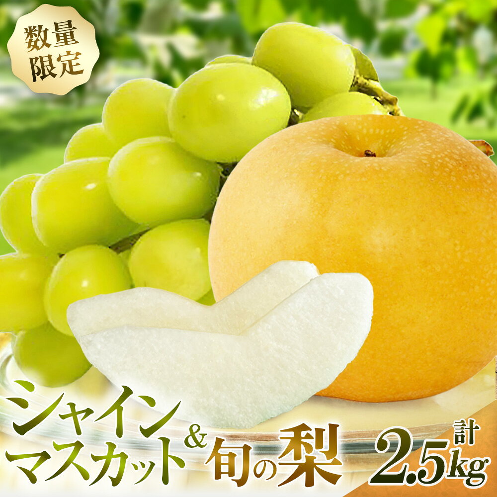 【ふるさと納税】【期間限定】旬の梨とシャインマスカット 食べ比べセット 約2.5kg ぶどう フルーツ 果物 詰合せ フルーツセット 果物セット 豊水 新高 新興 宮崎県 小林市 送料無料