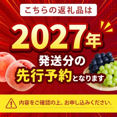 《大玉ジューシーなつっこ》人気品種指定ギフト5年連続TV出演話題ブランド【2027年発送先行受付】【配送不可地域：離島・北海道・沖縄県・中国・四国・九州】