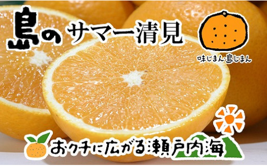 サマー清見 4kg 希望の島 愛媛 みかん 【2027年4月上旬から発送予定】 | 中島産 愛媛県産 みかん 柑橘 かんきつ 清見 きよみ 春かんきつ mikan ミカン 蜜柑 中島 フルーツ 果物 くだもの グルメ 食べ物 お取り寄せ 愛媛県 松山市