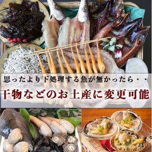 岬だより 釣ったお魚プロが代わりに下処理します 魚捌き券(3000円相当)
