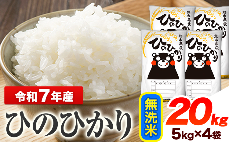 令和7年産 ひのひかり  無洗米 20kg 《7-14日以内に出荷予定(土日祝除く)》 熊本県産 無洗米 精米 ひの 送料無料 熊本県 山江村---ym_hn7_wx_45500_20kg_m---