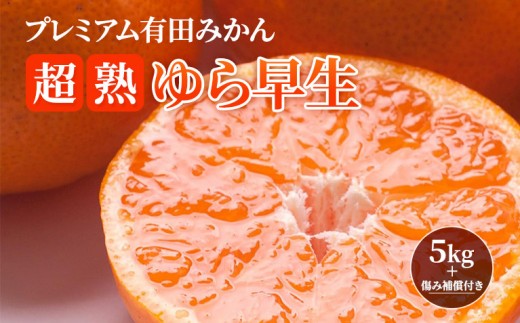 
                  ［先行予約］プレミアム 有田みかん5kg+250g（傷み補償分）［2026年10月初旬から2027年1月末日頃順次発送予定］［IKE250］
                