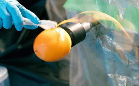 西条柿のドライフルーツと干し柿Lのセット　《23014-11》