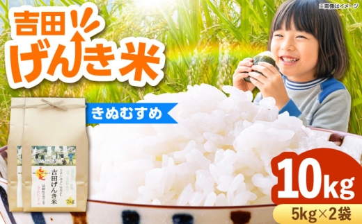 お米【新米】吉田げんき米きぬむすめ 10kg（5kg×2袋） ｜米 こめ おこめ はくまい 白米 ライス げんき米 精米 コメ 10キロ ごはん ご飯 おにぎり お弁当 朝ごはん 便利 朝食 食卓 主食 グルメ おいしい つや あっさり 飽きない もっちり 食感 国産 新生活 一人暮らし 家族 ご当地 ごはんソムリエ おうちごはん おすすめ 人気島根県雲南市/有限会社藤本米穀店 [AIDB130]