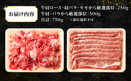 【訳あり】【A4〜A5ランク】 長崎和牛 しゃぶしゃぶ・すき焼きセット 750g《壱岐市》【株式会社MEAT PLUS】　肉 牛肉 黒毛和牛 鍋 ご褒美 冷凍配送 訳あり 切り落とし しゃぶしゃぶ用 