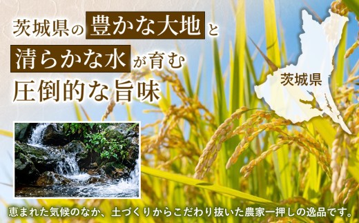 【令和8年産】茨城あきたこまち【無洗米】 20kg（5㎏×4袋） | お米 米 あきたこまち 茨城県産 白米 ブランド米 小分け